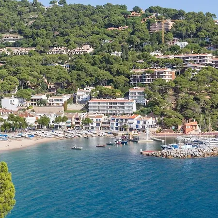 Daire Apartment- Pruneda